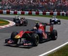 Jaime Alguersuari - Toro Rosso - Montréal 2010