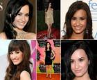 Demi Lovato est une actrice et chanteuse de rock américain. Connu pour son rôle de Mitchie Torres dans le Disney Channel Original Movie Camp Rock