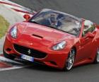 Felipe Massa au volant d'une Ferrari California - Hungaroring 2010 -