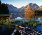 Un lac avec des grumes flottantes au premier plan et haute montagne