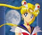 Usagi Tsukino, Bunny Rivière ou Bunny Tsukino est le personnage principal et devient Sailor Moon