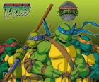 Les quatre Tortues Ninja: Leonardo, Michelangelo, Donatello et Raphaël. Les Tortues ninja ou TMNT