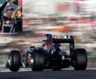 Mark Webber - Red Bull - Suzuka 2010 (2 ° Classé)