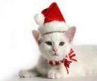 chat blanc avec des chapeaux du Père Noël
