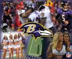 Baltimore Ravens