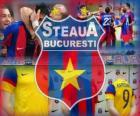 FC Steaua Bucarest, club de football roumain