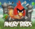 Angry Birds est un jeu vidéo de Rovio. Les oiseaux en colère attaquent les cochons qui volent les œufs