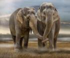 Deux grands éléphants avec des troncs entrelacés