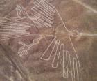 Vue aérienne des figures, un oiseau, une partie des lignes de Nazca dans le désert de Nazca, au Pérou