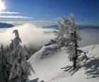 Montagnes enneigées à Poiana Brasov, Roumanie