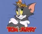 Tom et Jerry sont les principaux protagonistes des aventures drôles
