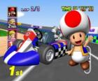 Toad avec un kart. Toad est un citoyen du Royaume Champignon et loyal serviteur de la princesse Peach