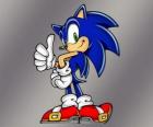 Sonic le hérisson, le principal protagoniste du jeu vidéo Sonic de Sega
