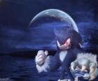 Sonic the Werehog, la dernière transformation de Sonic, la nuit il se transforme en loup hérisson