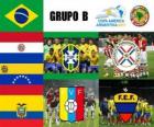 Groupe B, Argentine 2011