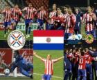 Paraguay finaliste, Copa América Argentine 2011