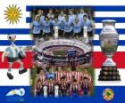 Uruguay vs Paraguay. Finale Copa America Argentina 2011. 24 juillet, Stade Monumental, Buenos Aires