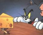 Tom le chat surprenant la souris Jerry prenant un morceau de fromage