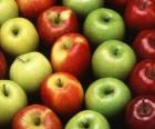Pommes de divers types