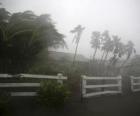 Tempête tropicale