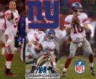 New York Giants champion NFC 2011