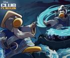 Pingouins Ninja, personnages du célèbre Club Penguin