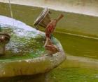 Petits oiseaux pataugeant dans une fontaine