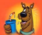 Scooby Doo avec une boire