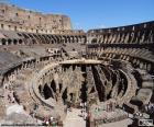 Le Colosseum à Rome