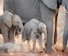 Maman contrôlant le petit éléphant