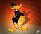 Daffy Duck dans le Looney Tunes