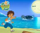 Diego sur la plage et une tortue marine dans l'eau