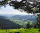 Vallée de la forêt-noire, Allemagne