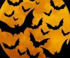 Chauves-souris pour la célébration de l'Halloween