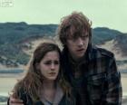 Hermione Granger et Ron Weasle