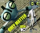 Le Tétard Gris ou Grey Matter, Ben 10