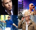 Pitbull (Armando Christian Pérez), est un producteur de musique d'origine cubaine