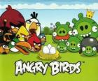 Oiseaux, œufs et cochons verts dans Angry Birds