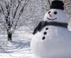 Bonhomme de neige avec chapeau et écharpe