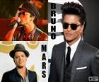 Bruno Mars est un chanteur, auteur-compositeur et producteur de musique américain