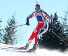 Skieur en plein effort dans la pratique du ski de fond ou ski nordique