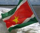 Drapeau du Suriname