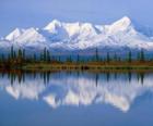 Grand lac avec les sapins de la forêt et les montagnes en toile de fond