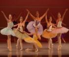 Spectacle de ballet
