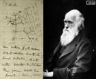 Charles Darwin (1809-1882), biologiste britannique