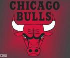 Logo Chicago Bulls, équipe de la NBA. Division Centrale, Conférence Est
