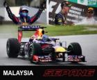 Sebastian Vettel célèbre sa victoire dans le Grand Prix de Malaisie 2013