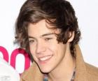 One Direction, Harry Styles