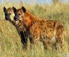 Les hyènes