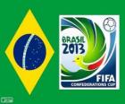 Coupe des confédérations 2013 (Brésil)